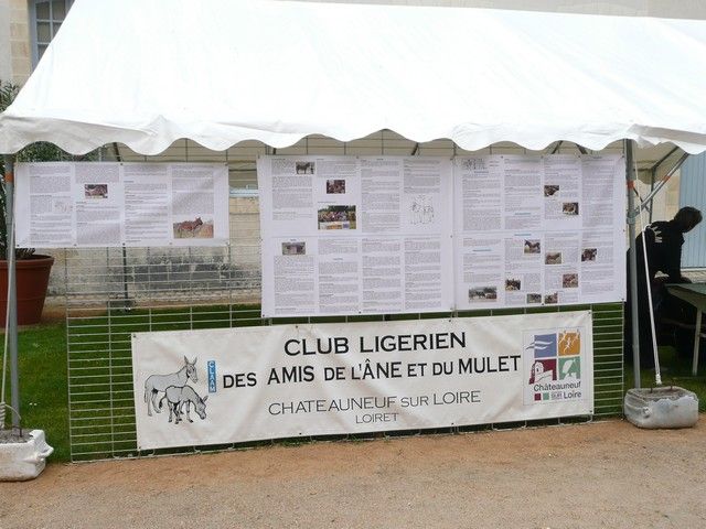 rodho 2013 (30).jpg